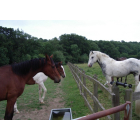 Post and Rail Protection Kit - 200m Rope Mains Powered