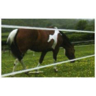 200m Battery - 2 Line Premium Strip Grazing Kit For Horses & Ponies (2 x 12v Batteries & Charger Included) 