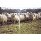 Mains Powered Sheep Netting Kit - 100m x 0.85m Orange