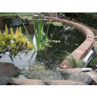 30m Solar Powered Garden & Pond Protection Kit - With 10 x 80cm Long Over Hanging Arms