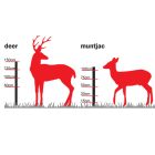 Deer Kit Mains - Rope 4 Line - 100m