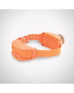 Sport Dog - Sporttrainer Receiver Collar with Remote Bleeper Add-A-Dog