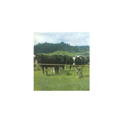 Dairy Herd - Strip Grazing Battery Operated Kit - 250m