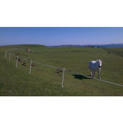 200m Mains - 1 Line Horse and Pony Strip Grazing Mains Kit