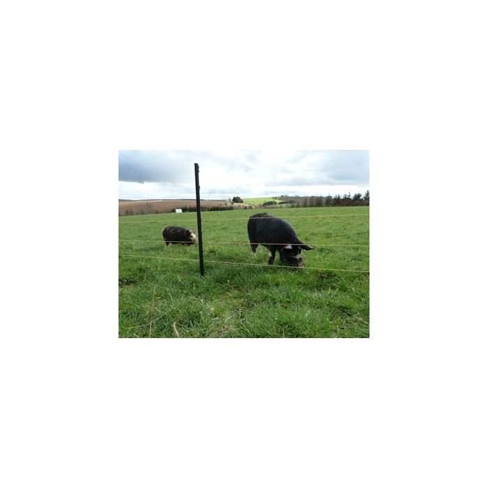 160m Mains Operated 3 Line Electric Fencing Pig Kit Electric Fencing