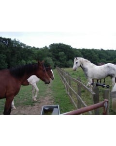 Post and Rail Protection Kit - 400m Rope Battery Powered