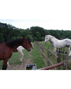 Post and Rail Protection Kit - 200m Rope Solar Powered