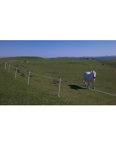 200m Mains - 1 Line Horse and Pony Strip Grazing Mains Kit