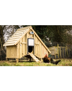 Automatic Hen House Door Opener - Chicken Guard - Pro