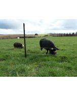 160m (max) 3 Line Electric Fencing Pig Kit - Mains Operated 