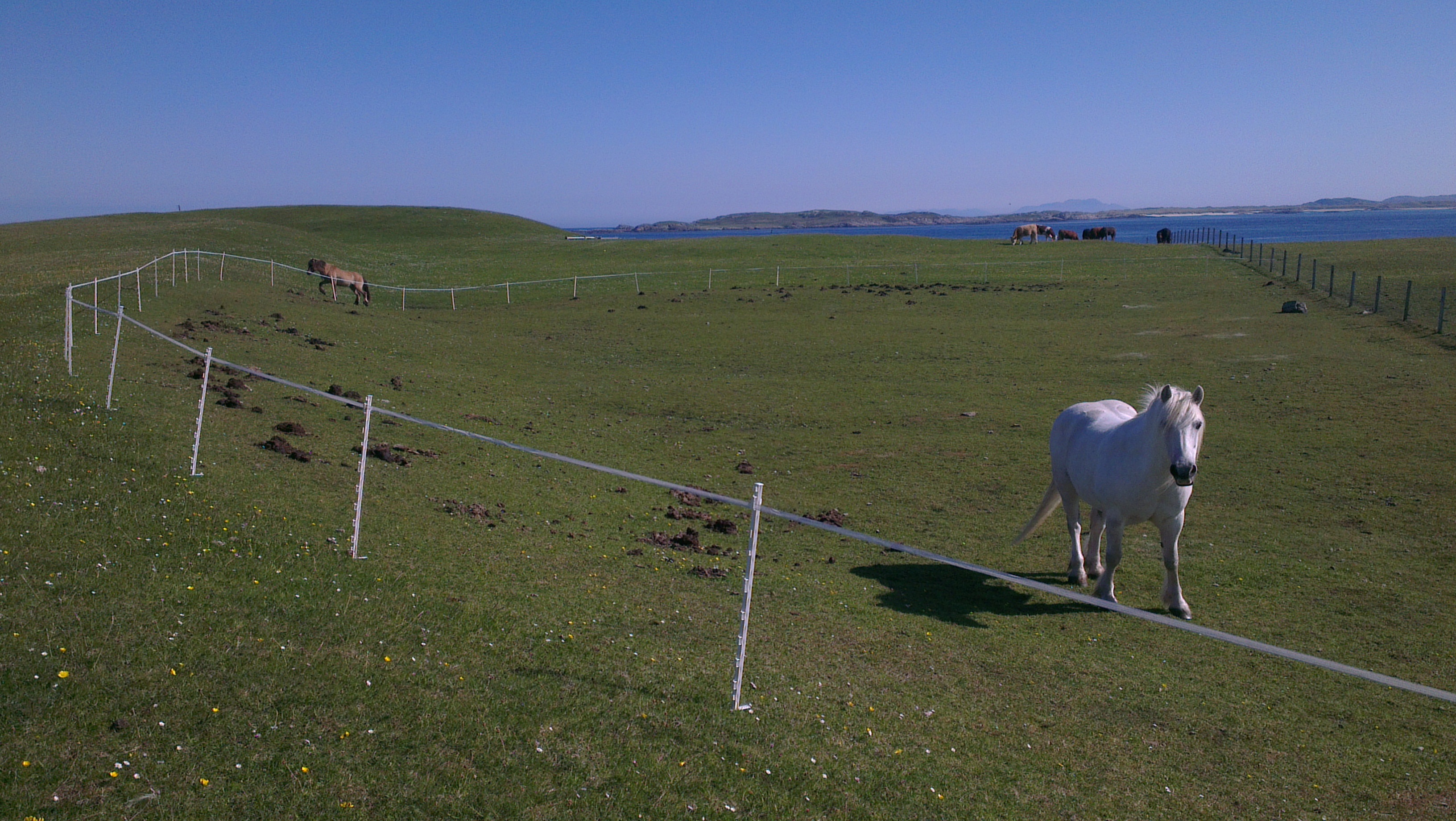 Electric Fencing on the Isle of Tiree