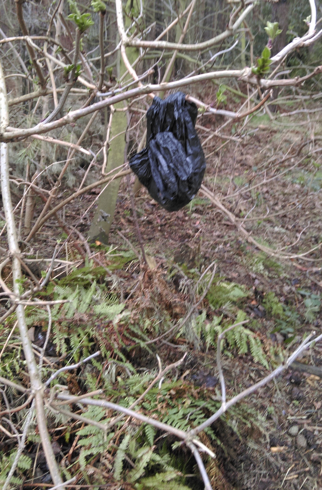Dog Poo Bags! Electric Fencing Direct Blog Electric Fence