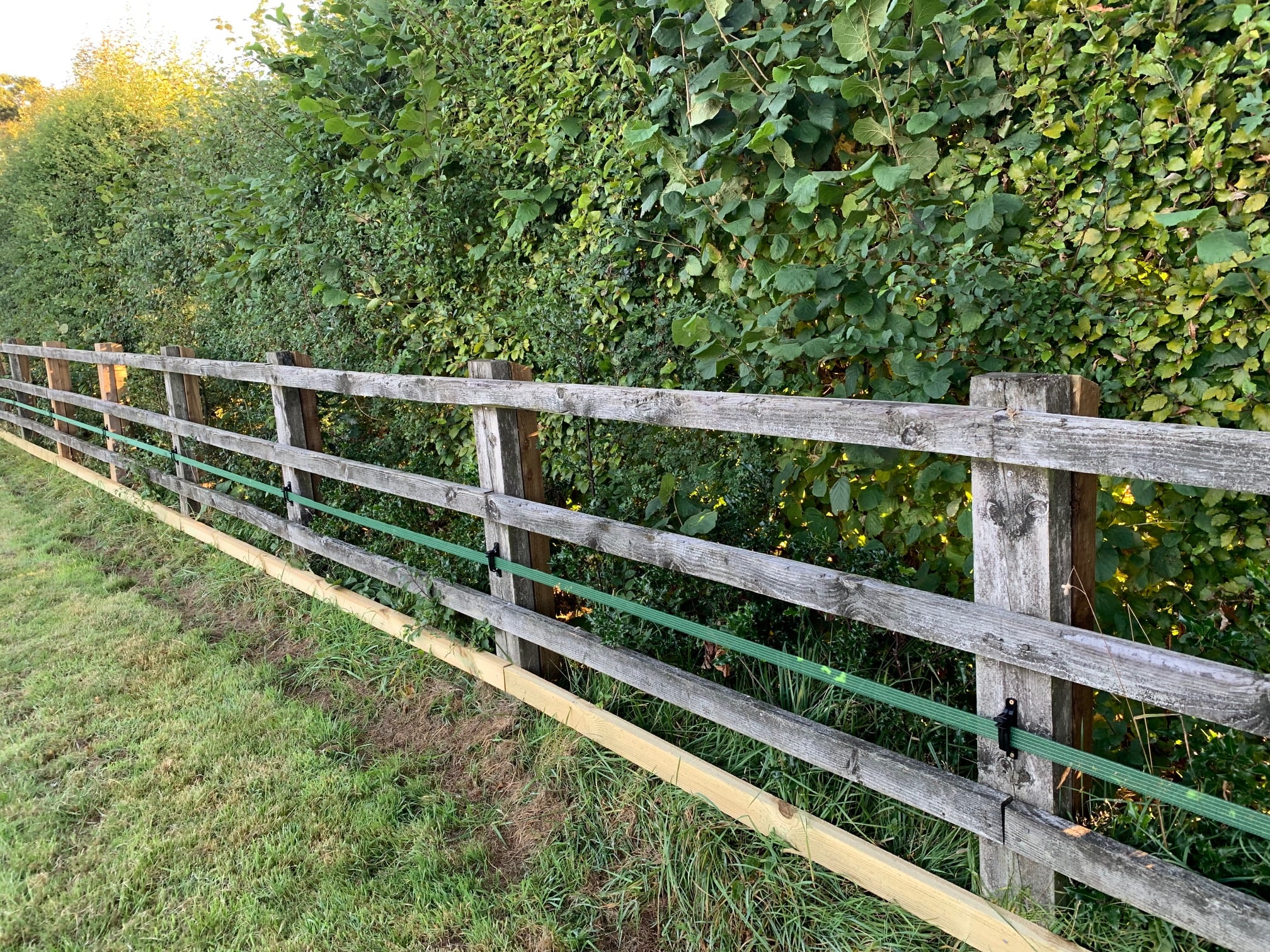 The Basics An Electric Fencing Dilemma Tape or Rope?