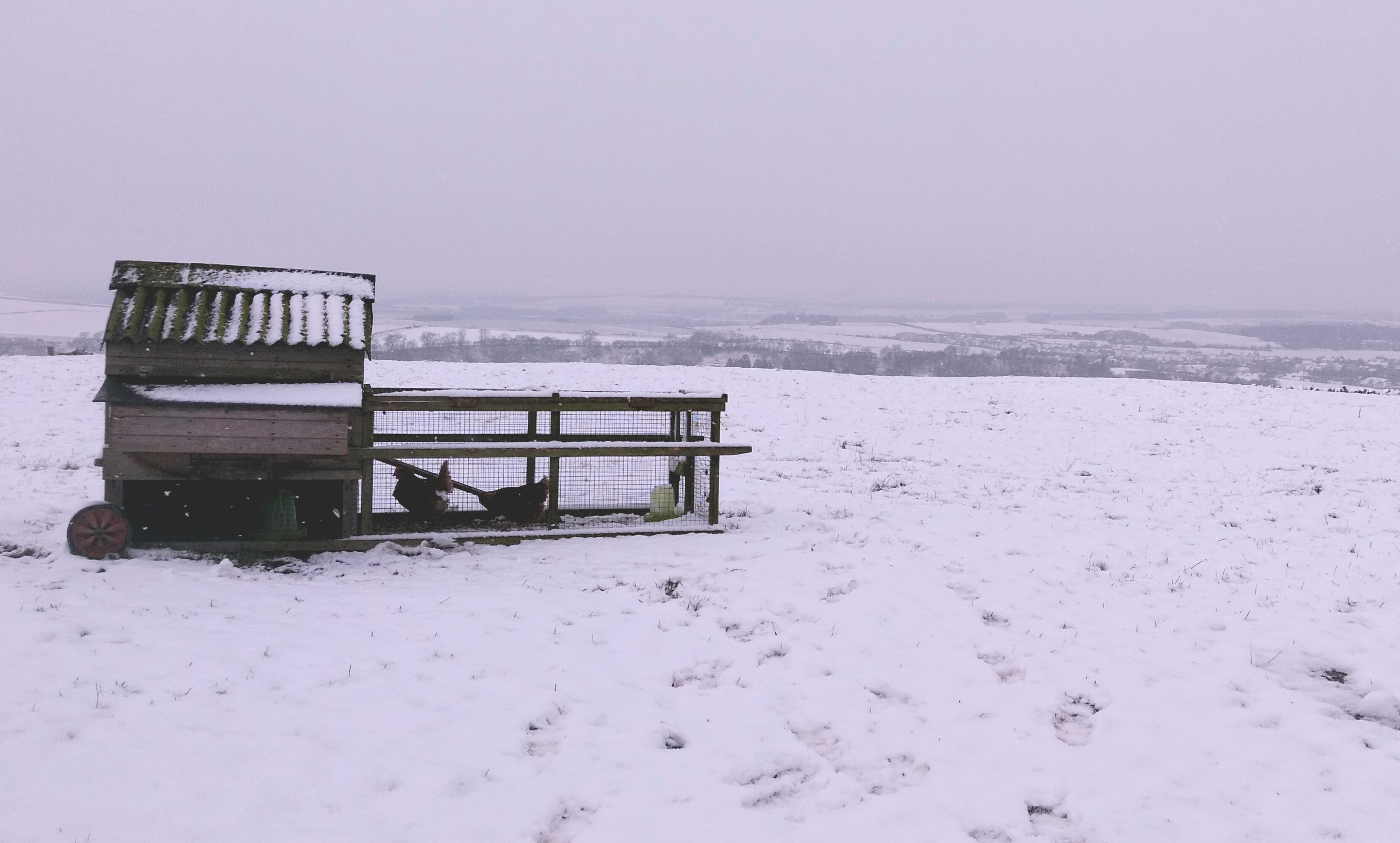 How Do You Keep Your Electric Fence Working In Winter